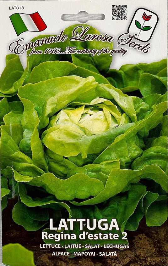 بذور الخس