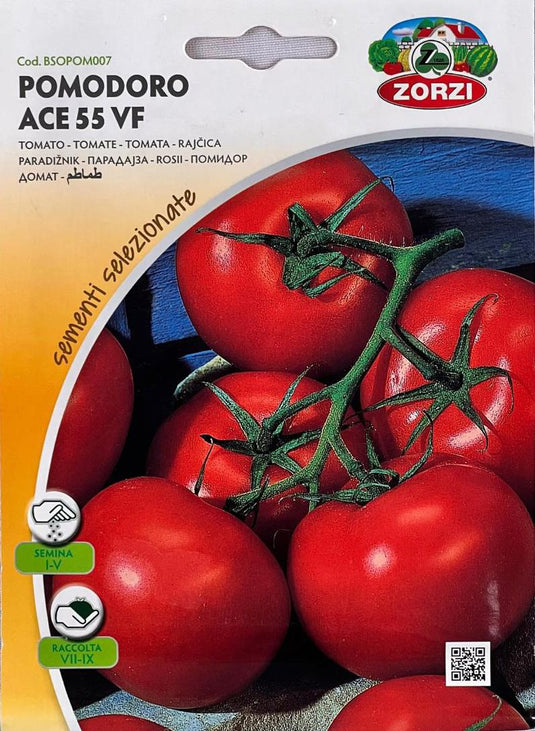 بذور الطماطم